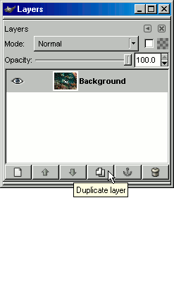 duplicate layer