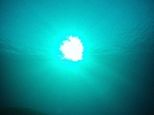 Sunlight from 20m down