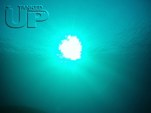 Sunlight from 20m underwater